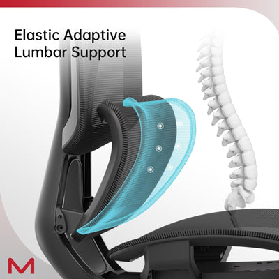 Ergonomic Chairs